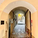Historicomegna *