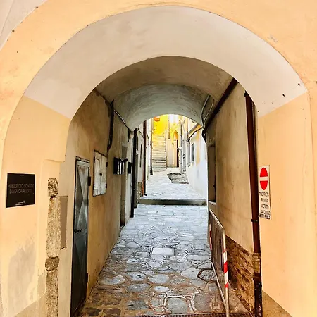 Historicomegna *