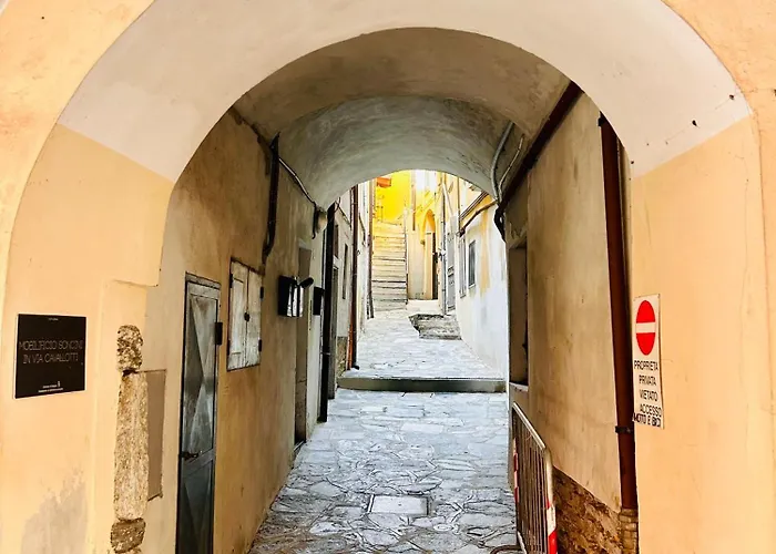 Historicomegna *